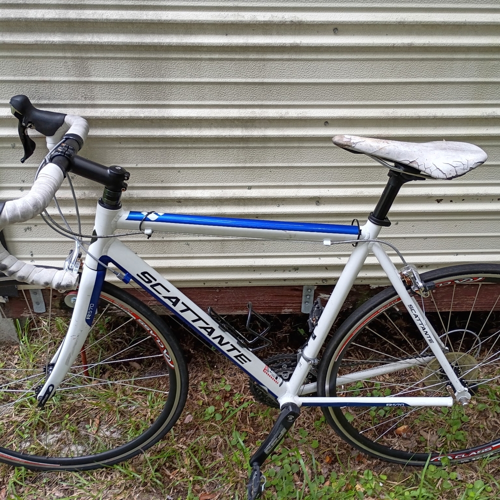 Scattante Blue and White Bicycle